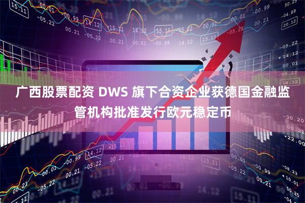 广西股票配资 DWS 旗下合资企业获德国金融监管机构批准发行欧元稳定币