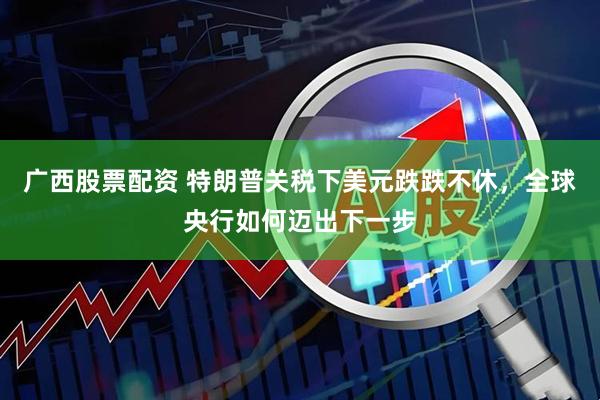 广西股票配资 特朗普关税下美元跌跌不休，全球央行如何迈出下一步