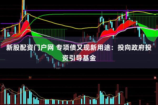 新股配资门户网 专项债又现新用途：投向政府投资引导基金