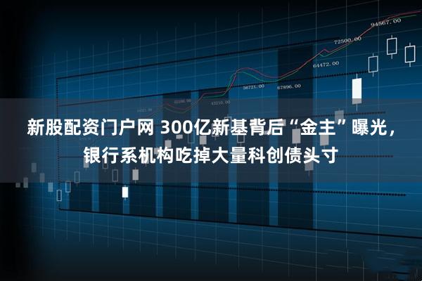 新股配资门户网 300亿新基背后“金主”曝光，银行系机构吃掉大量科创债头寸